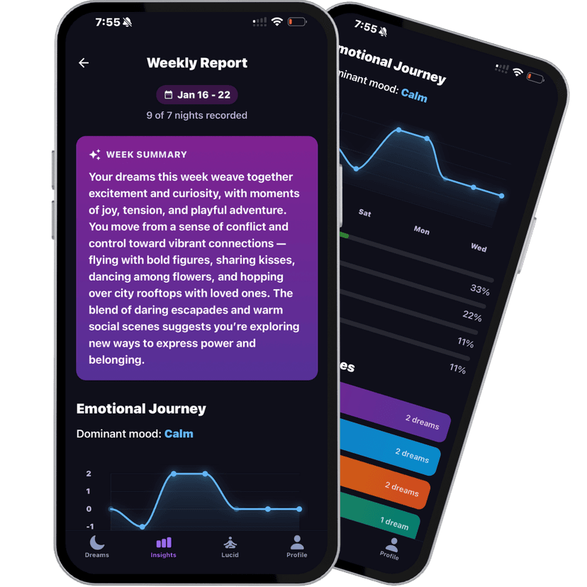 Explore Dream Patterns